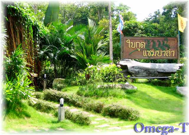 คลิกที่รูป เพื่อดูขนาดขยาย