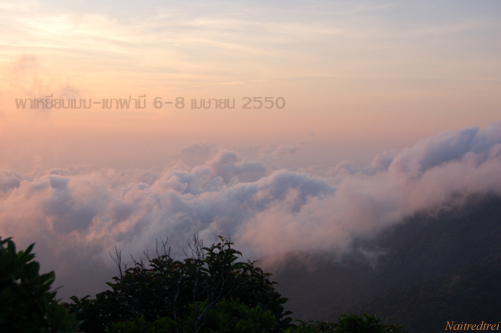 คลิกที่รูป เพื่อดูขนาดขยาย