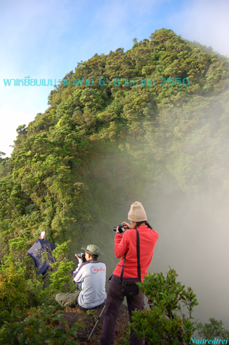 คลิกที่รูป เพื่อดูขนาดขยาย