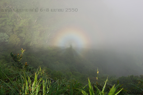 คลิกที่รูป เพื่อดูขนาดขยาย
