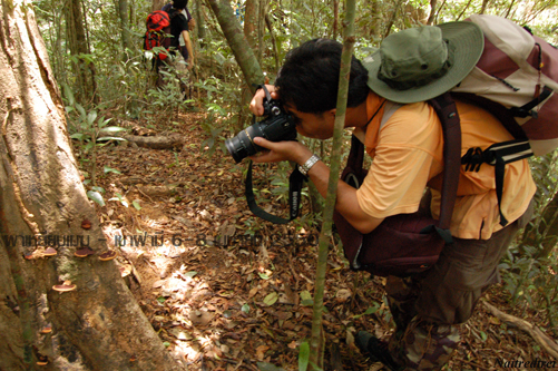 คลิกที่รูป เพื่อดูขนาดขยาย