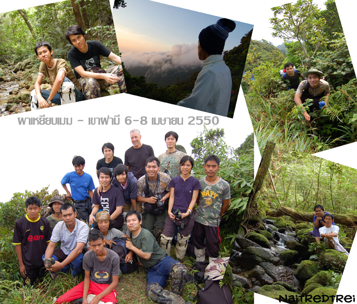 คลิกที่รูป เพื่อดูขนาดขยาย