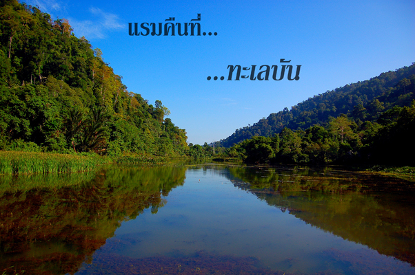 คลิก ที่รูปเพื่อดูขนาดขยาย