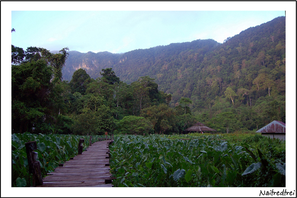 คลิกที่รูป เพื่อดูขนาดขยาย