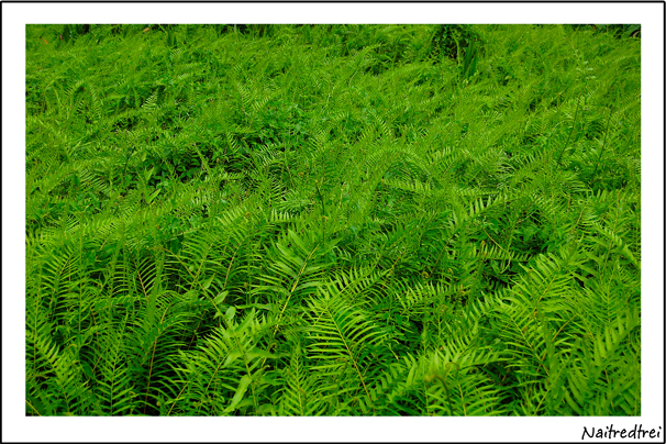 คลิกที่รูป เพื่อดูขนาดขยาย