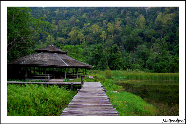 คลิกที่รูป เพื่อดูขนาดขยาย