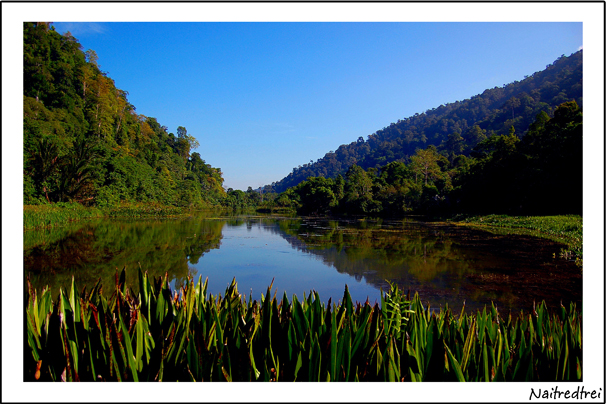 คลิกที่รูป เพื่อดูขนาดขยาย