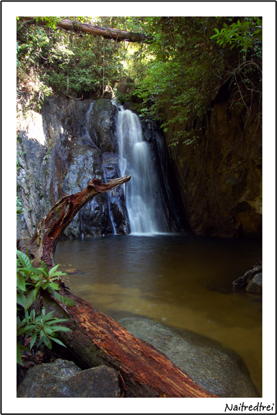 คลิกที่รูป เพื่อดูขนาดขยาย