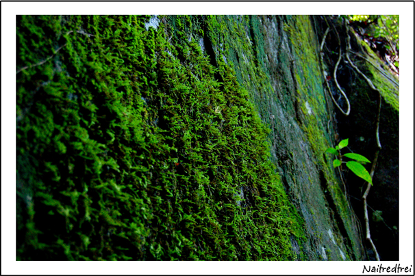 คลิกที่รูป เพื่อดูขนาดขยาย