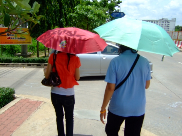 คลิกที่รูป เพื่อดูขนาดขยาย