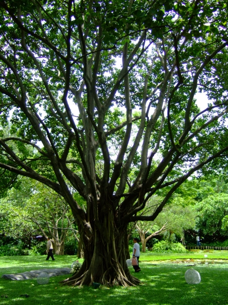 คลิกที่รูป เพื่อดูขนาดขยาย