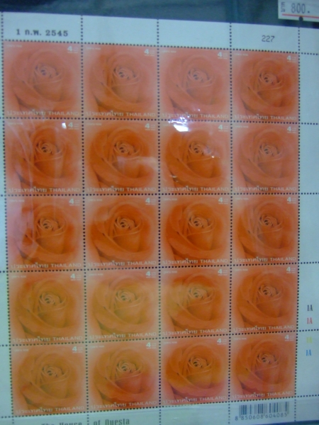 คลิกที่รูป เพื่อดูขนาดขยาย