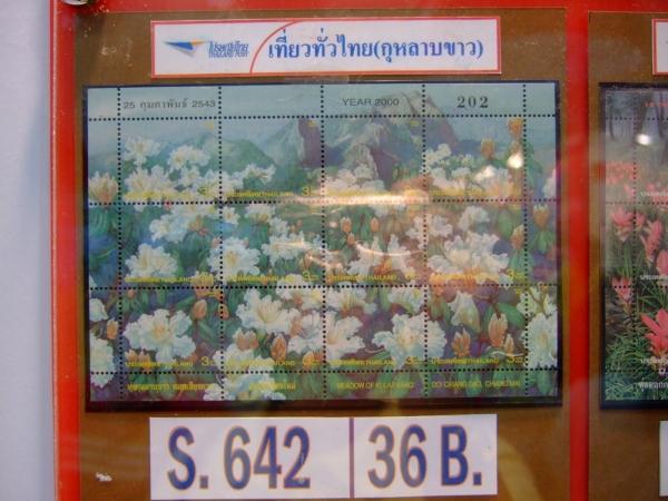 คลิกที่รูป เพื่อดูขนาดขยาย