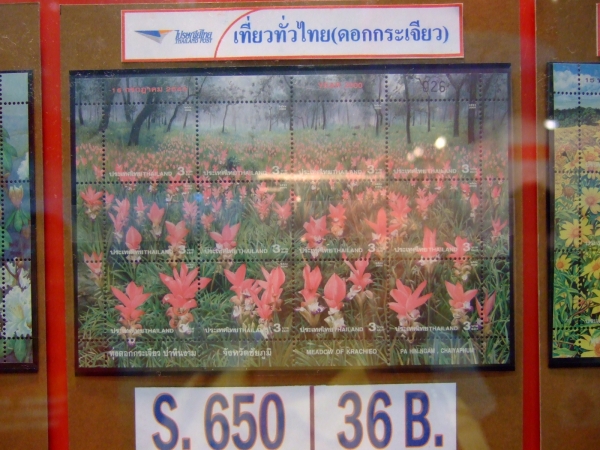 คลิกที่รูป เพื่อดูขนาดขยาย