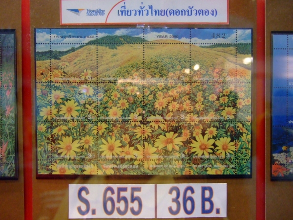 คลิกที่รูป เพื่อดูขนาดขยาย
