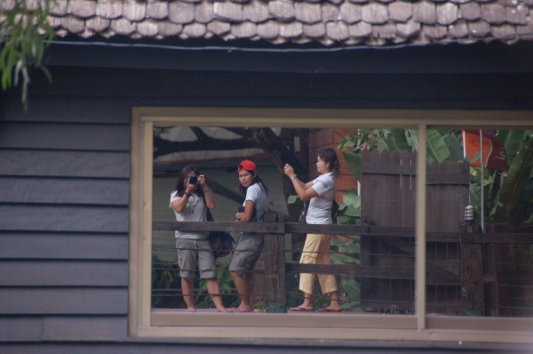 คลิกที่รูป เพื่อดูขนาดขยาย