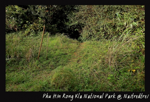 คลิกที่รูป เพื่อดูขนาดขยาย