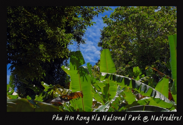 คลิกที่รูป เพื่อดูขนาดขยาย