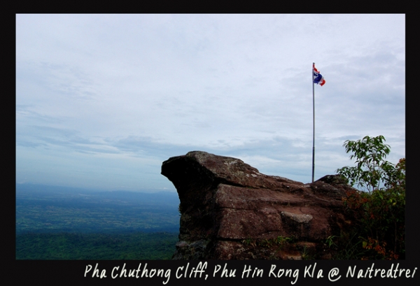 คลิกที่รูป เพื่อดูขนาดขยาย