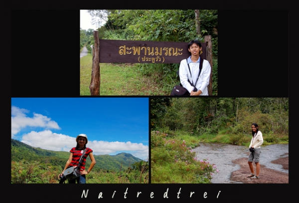 คลิกที่รูป เพื่อดูขนาดขยาย