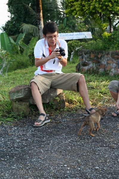 คลิกที่รูป เพื่อดูขนาดขยาย