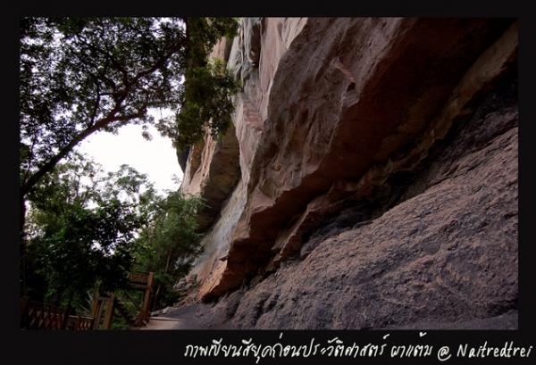 คลิกที่รูป เพื่อดูขนาดขยาย