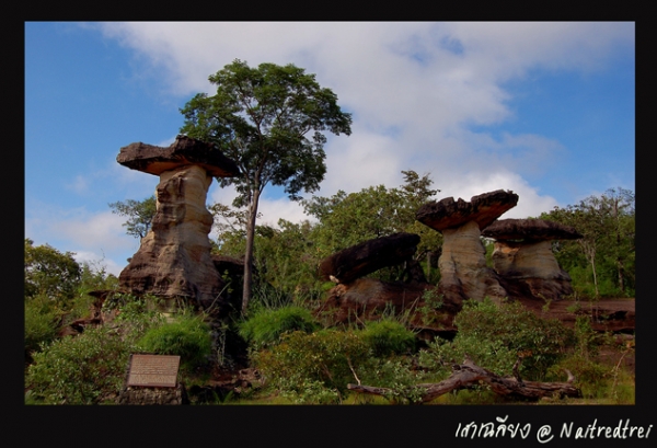 คลิกที่รูป เพื่อดูขนาดขยาย