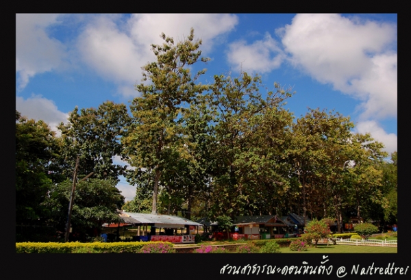 คลิกที่รูป เพื่อดูขนาดขยาย