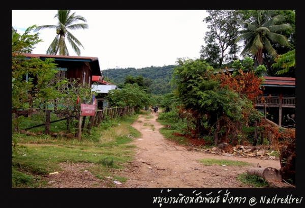 คลิกที่รูป เพื่อดูขนาดขยาย