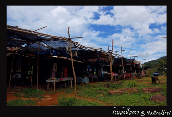 คลิกที่รูป เพื่อดูขนาดขยาย