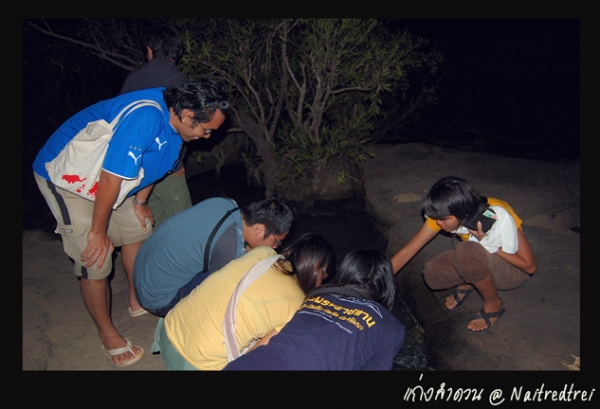 คลิกที่รูป เพื่อดูขนาดขยาย