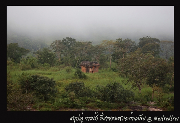 คลิกที่รูป เพื่อดูขนาดขยาย