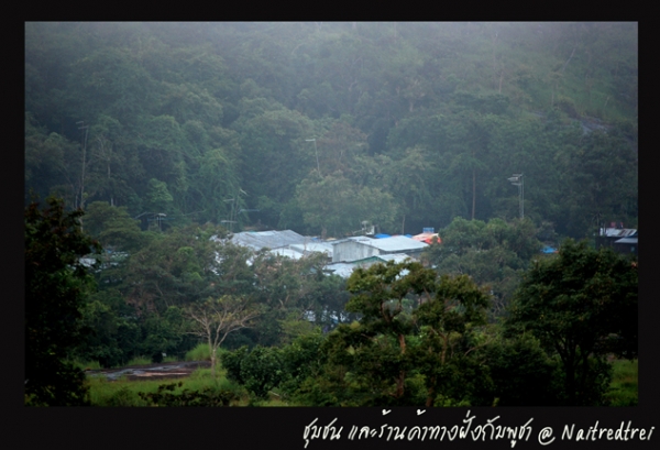 คลิกที่รูป เพื่อดูขนาดขยาย