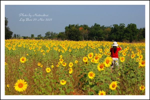 คลิกที่รูป เพื่อดูขนาดขยาย