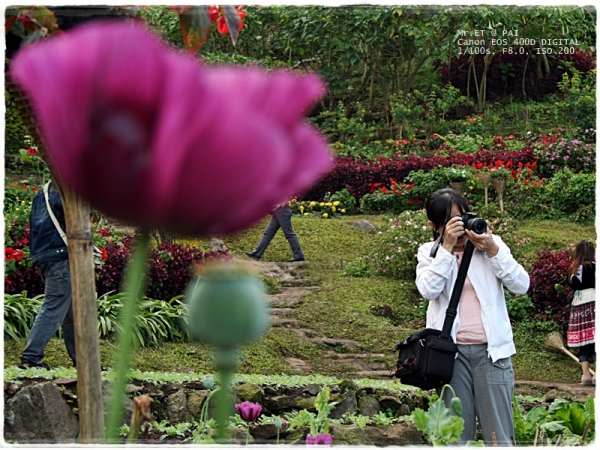 คลิกที่รูป เพื่อดูขนาดขยาย