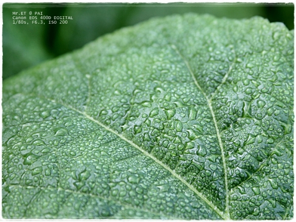 คลิกที่รูป เพื่อดูขนาดขยาย