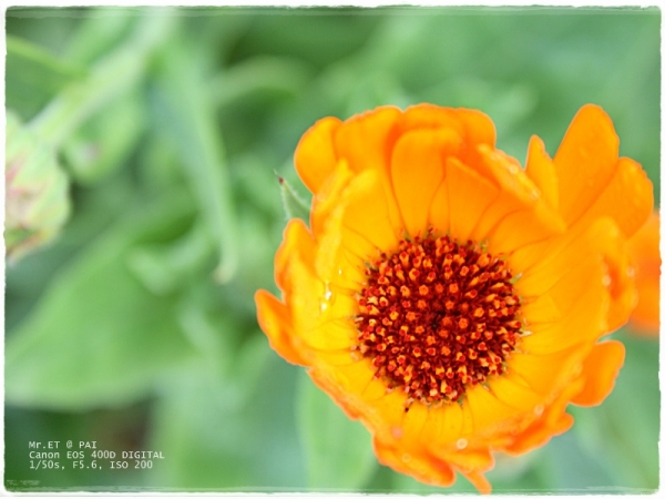 คลิกที่รูป เพื่อดูขนาดขยาย
