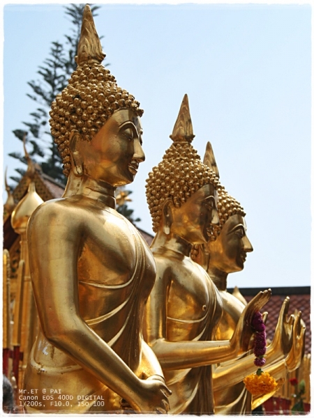 คลิกที่รูป เพื่อดูขนาดขยาย