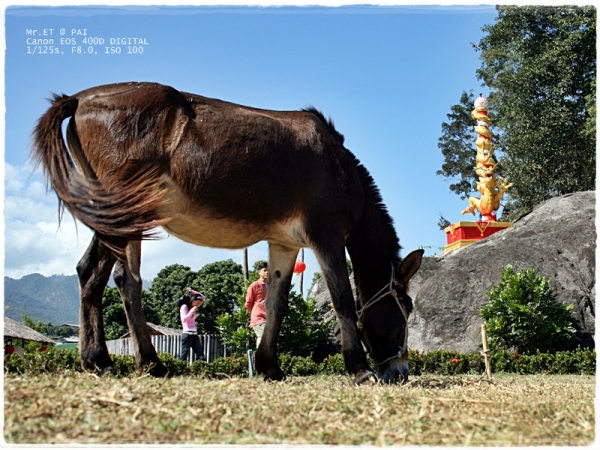 คลิกที่รูป เพื่อดูขนาดขยาย