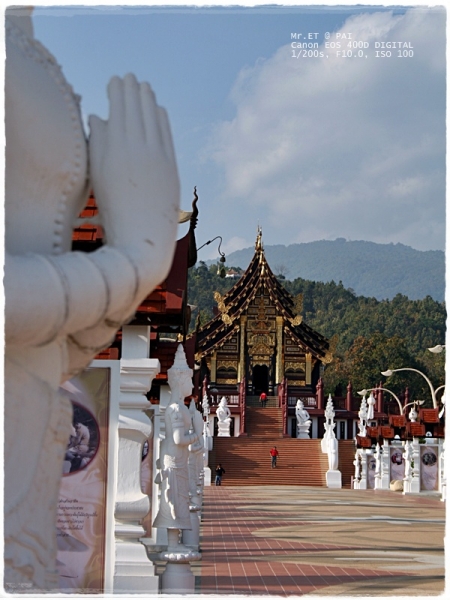 คลิกที่รูป เพื่อดูขนาดขยาย