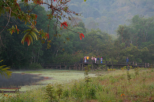 คลิกที่รูป เพื่อดูขนาดขยาย