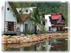 คลิก ที่รูปเพื่อดูขนาดขยาย