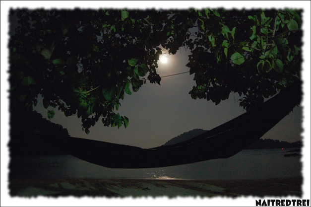 คลิกที่รูป เพื่อดูขนาดขยาย