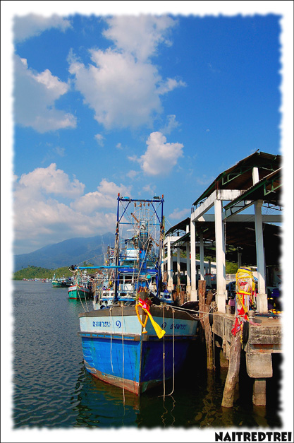 คลิกที่รูป เพื่อดูขนาดขยาย