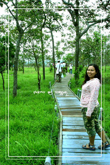 คลิกที่รูป เพื่อดูขนาดขยาย