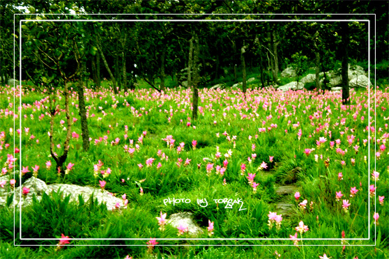 คลิกที่รูป เพื่อดูขนาดขยาย