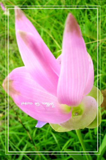 คลิกที่รูป เพื่อดูขนาดขยาย