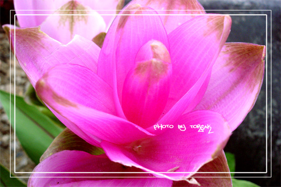 คลิกที่รูป เพื่อดูขนาดขยาย