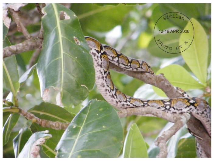 คลิกที่รูป เพื่อดูขนาดขยาย