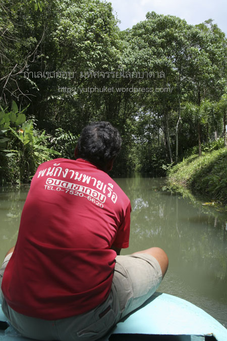 คลิกที่รูป เพื่อดูขนาดขยาย